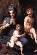 Andrea del Sarto Madonna mit Hl Johannes oil painting on canvas
